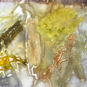 Eco-printing on Paper Workshop March 25