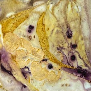 Eco-printing on Paper Workshop March 25