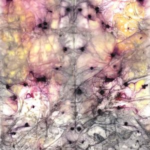 Eco-printing on Paper Workshop March 25