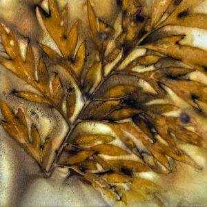 Eco-printing on Paper Workshop March 25