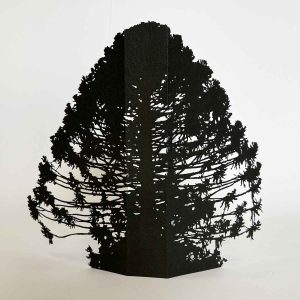 silent relics: a family album - artist book