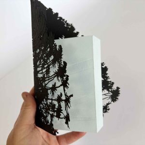 silent relics: a family album - artist book