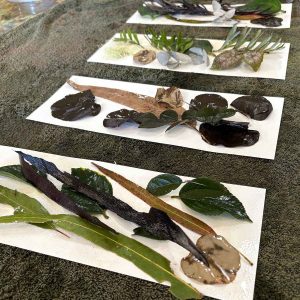 Eco-printing on Paper Workshop April 25