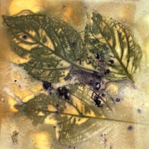 Eco-printing on Paper Workshop April 25