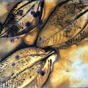 Eco-printing on Paper Workshop April 25