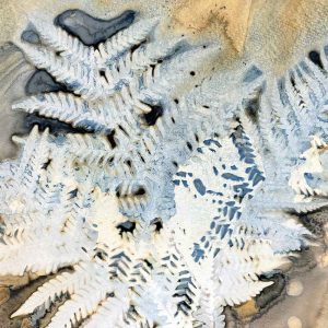 Cyanotype Beyond the Basics May 25
