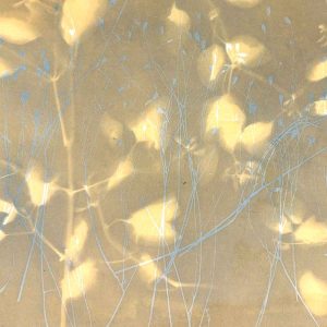 Cyanotype Beyond the Basics May 25