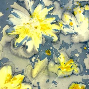 Cyanotype Beyond the Basics May 25