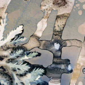 Cyanotype Beyond the Basics May 25