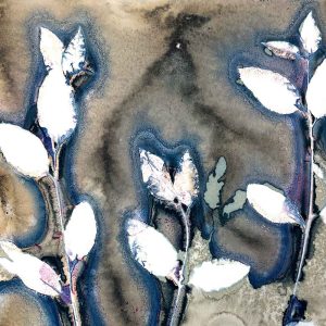 Cyanotype Beyond the Basics May 25