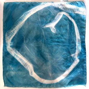 Cyanotype workshop May 25