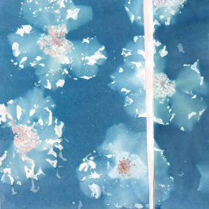 Cyanotype workshop May 25