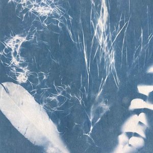Cyanotype workshop May 25