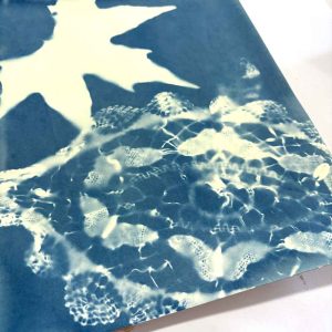 Cyanotype workshop May 25