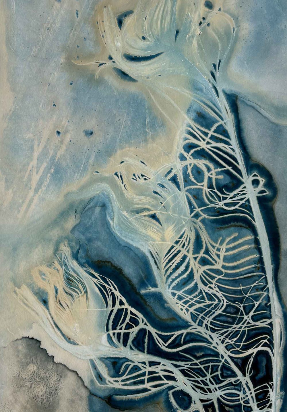 Fanfare II - Kim Herringe, wet cyanotype