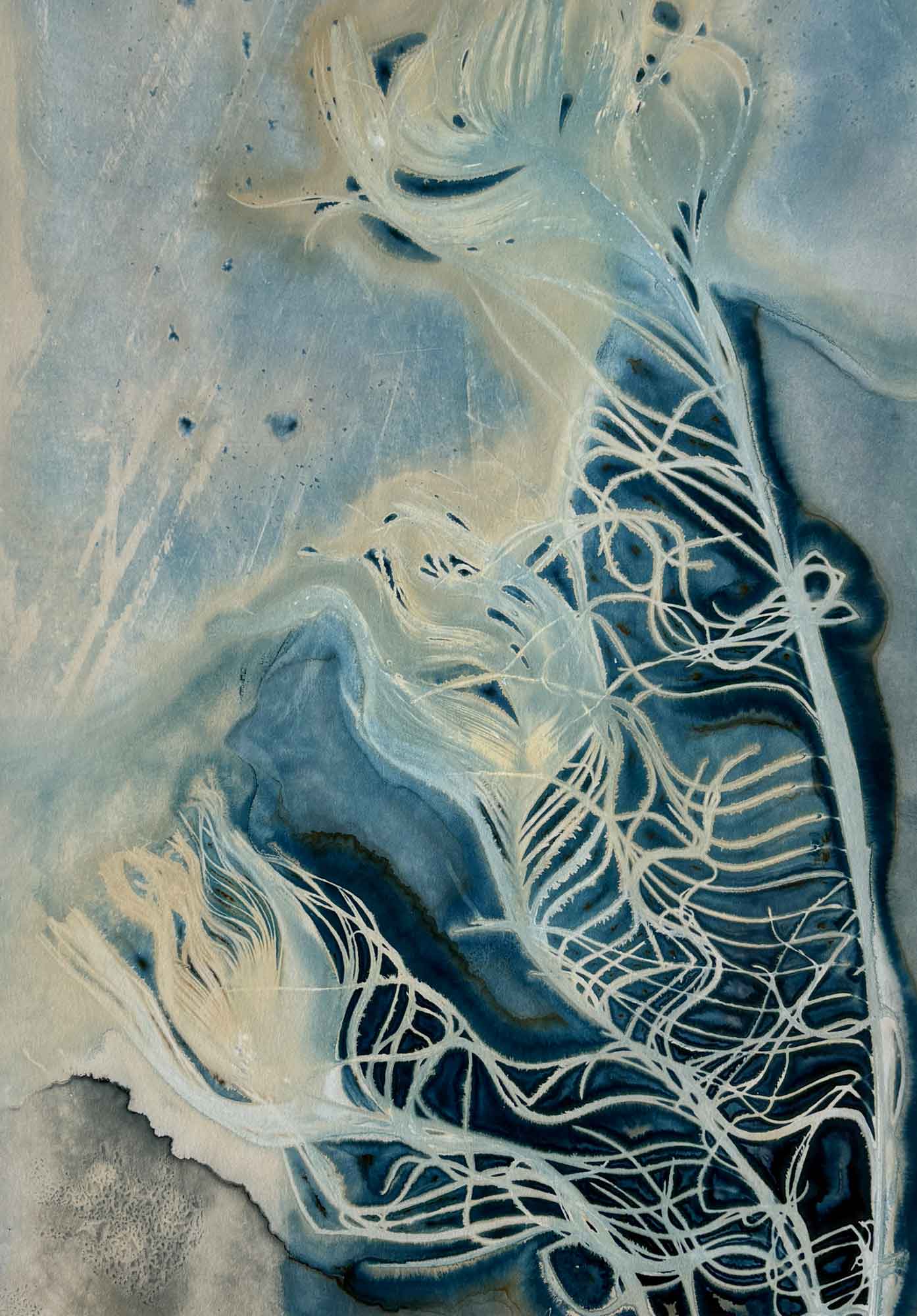 Fanfare II - Kim Herringe, wet cyanotype