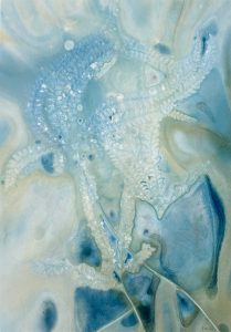 Quiet - Kim Herringe, wet cyanotype