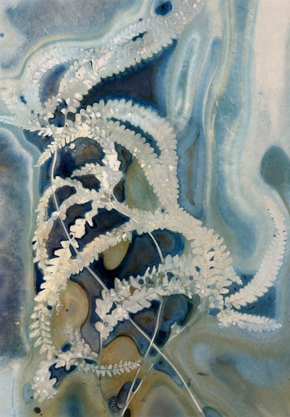The Ballet Dancer - Kim Herringe, wet cyanotype