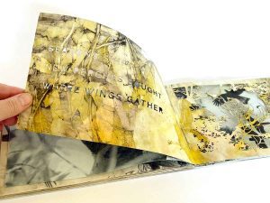 "Where Wings Gather" and artist book by Kim Herringe