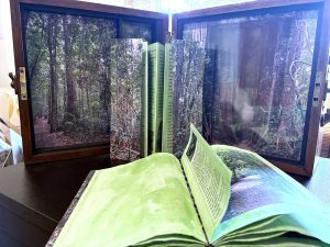 Ken Munsie - A Walk Through the Enchanted Forest