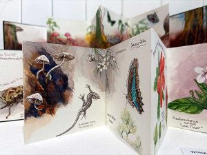 Rae Bassett - Whispers of the Red Earth