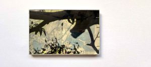 Where Wings Gather - back cover