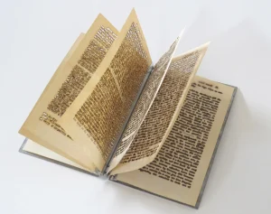 Building Narrative with Fiona Dempster