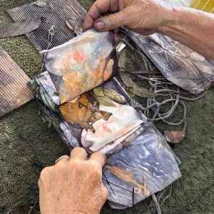 Eco-printing on Paper Extension June 25