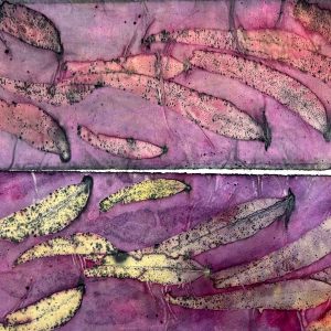 Eco-printing on Paper Extension June 25