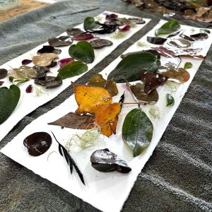 Eco-printing on Paper Extension June 25