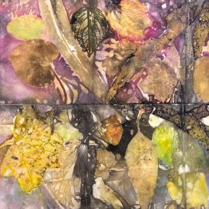 Eco-printing on Paper Extension June 25