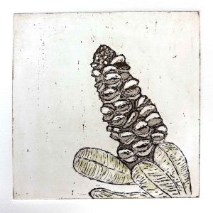 Metal Plate Etching workshop May 25