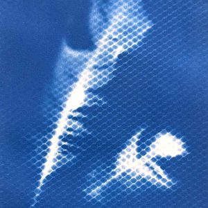 Cyanotype workshop August 2025