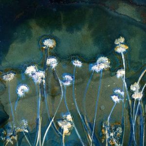 Cyanotype Beyond the Basics August 25