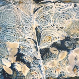 Cyanotype Beyond the Basics August 25
