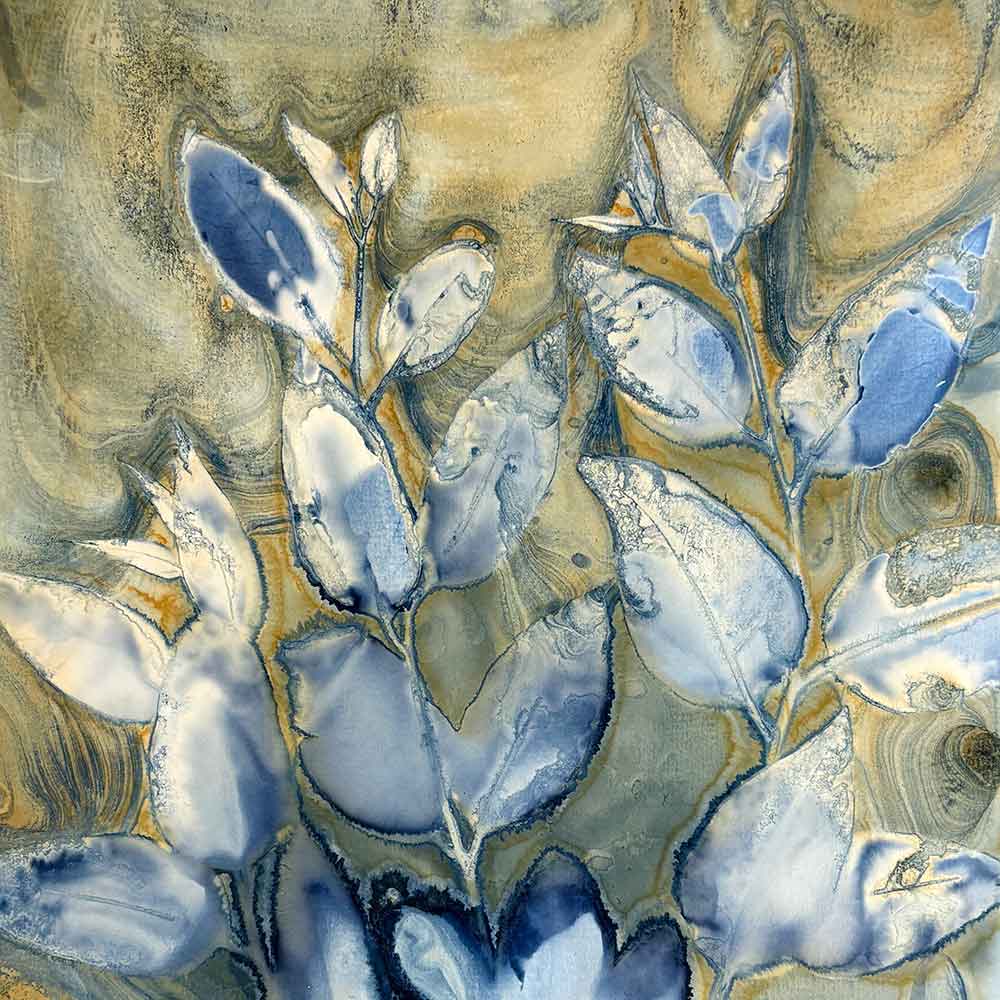Cyanotype Beyond the Basics August 25