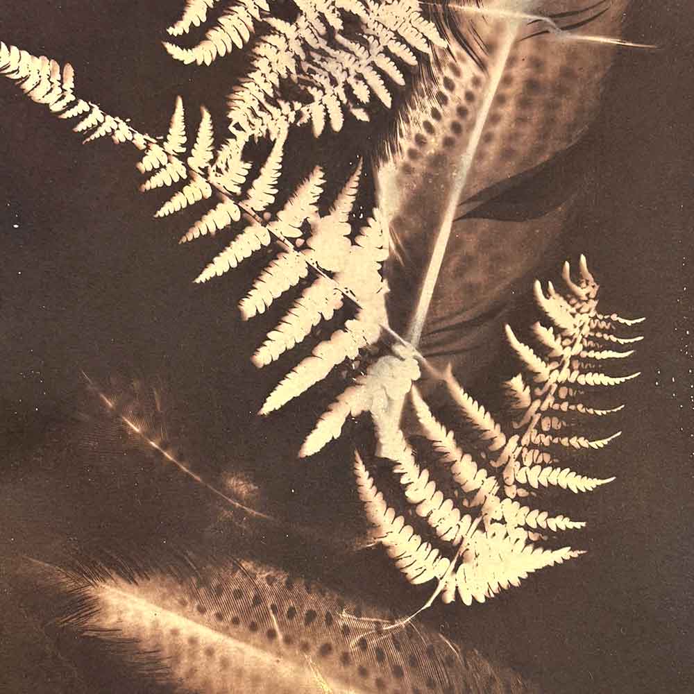 Cyanotype Beyond the Basics August 25