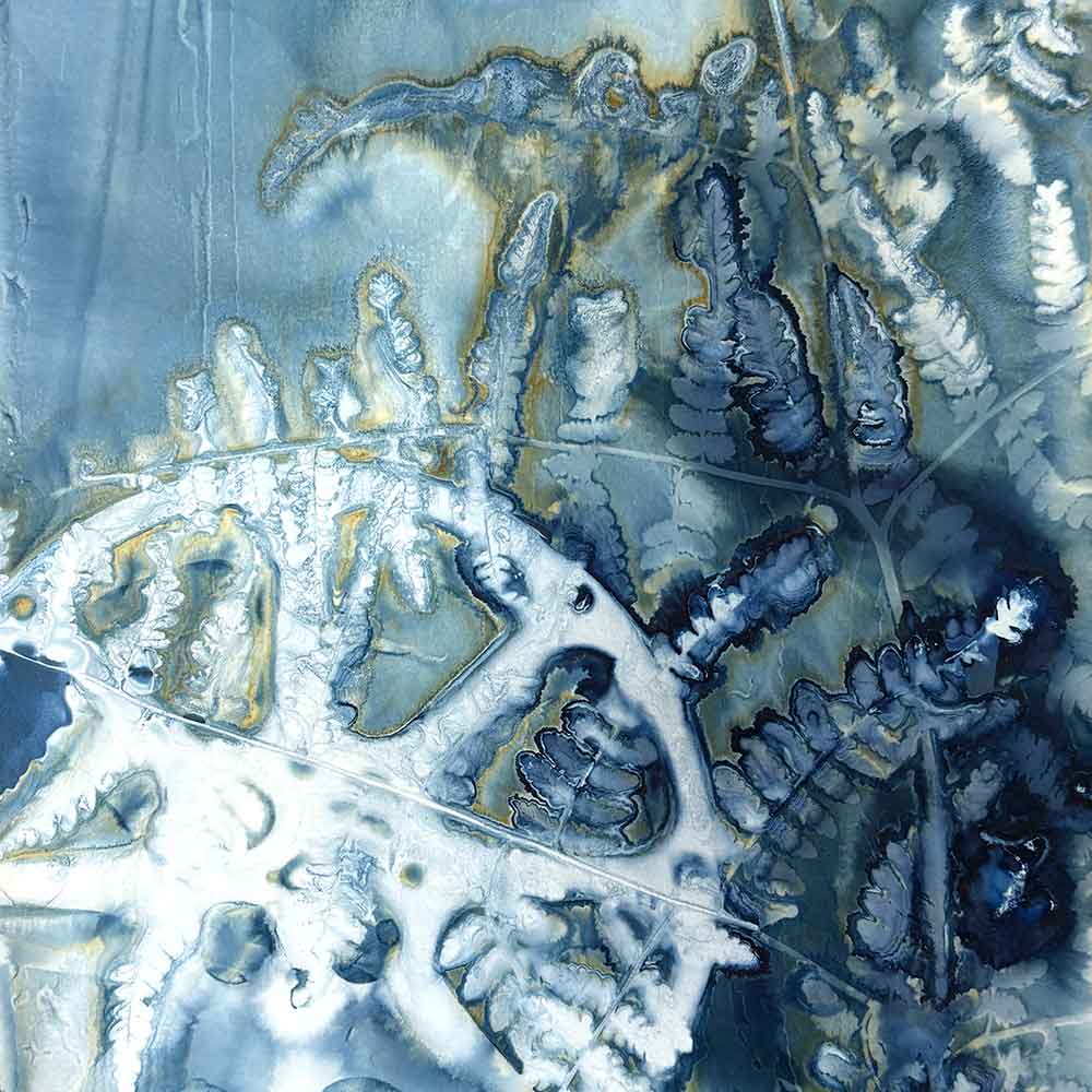 Cyanotype Beyond the Basics August 25