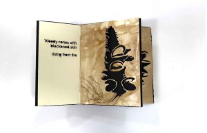 Bush Song - an Artist Book