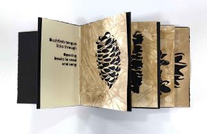Bush Song - an Artist Book