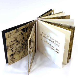 Meet me in the forest