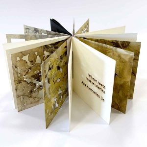 Meet me in the forest