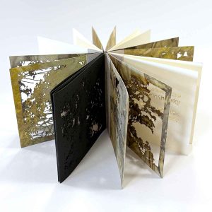 Meet me in the forest