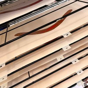 Summer Impressions 2026