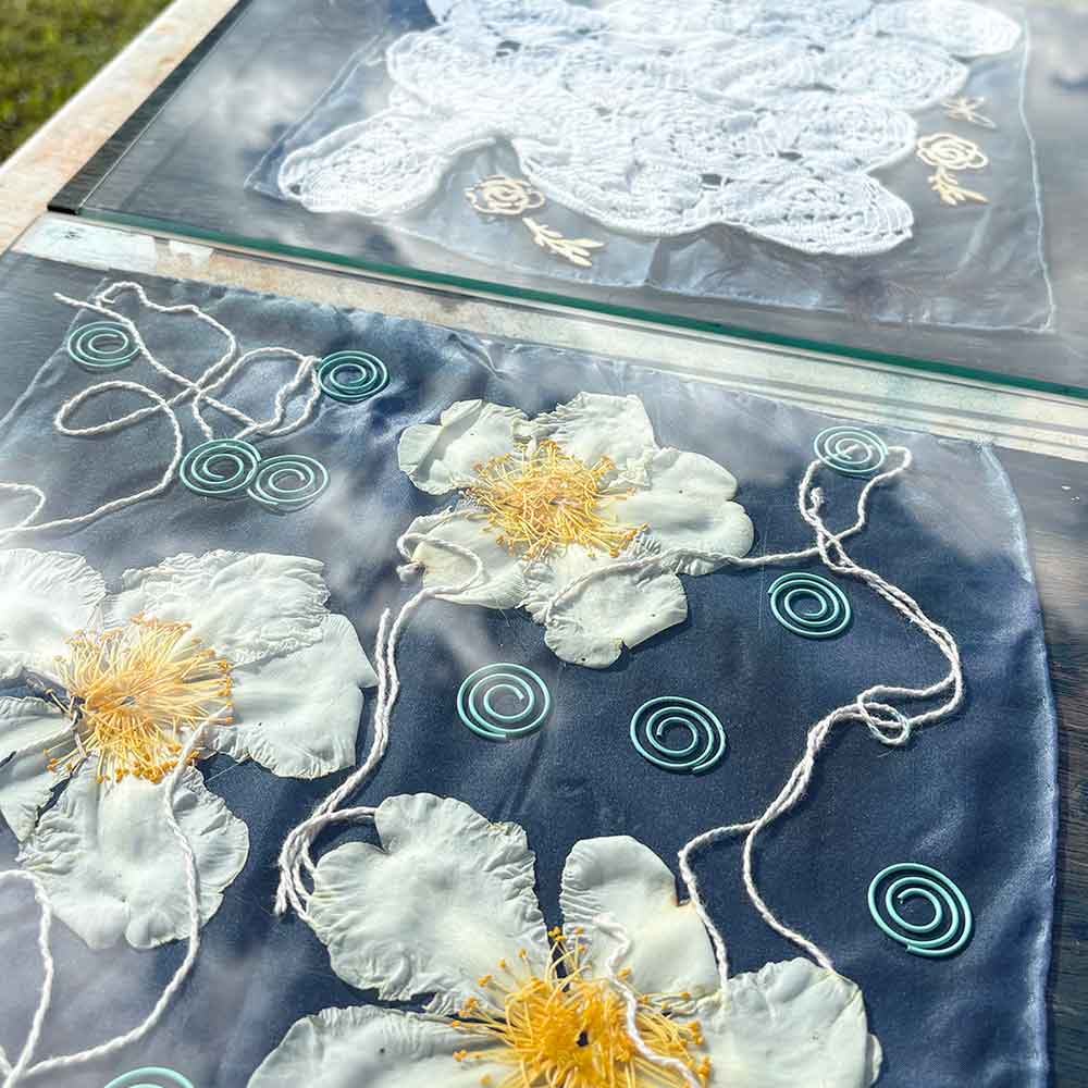 Cyanotype workshop May 26