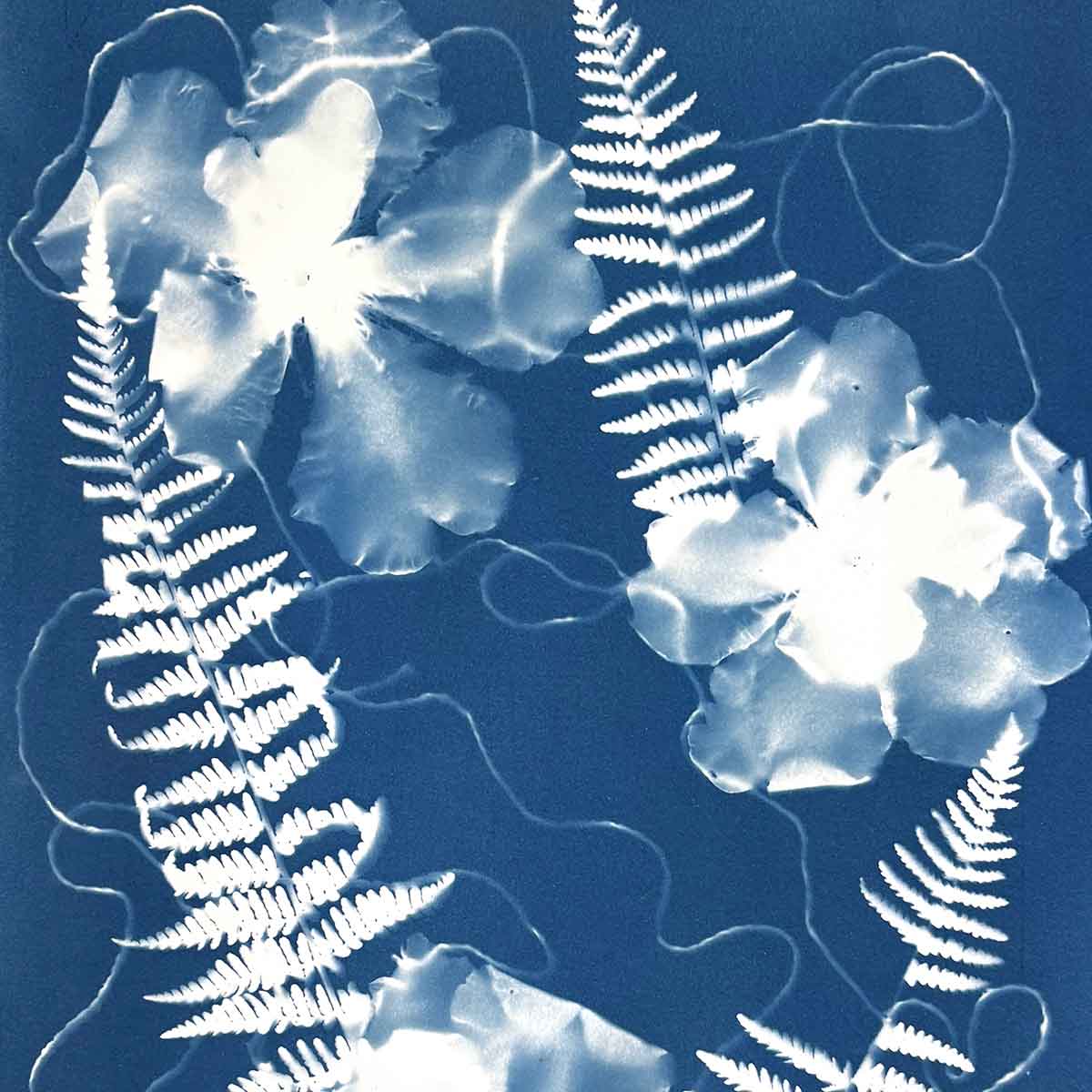 Cyanotype workshop May 26
