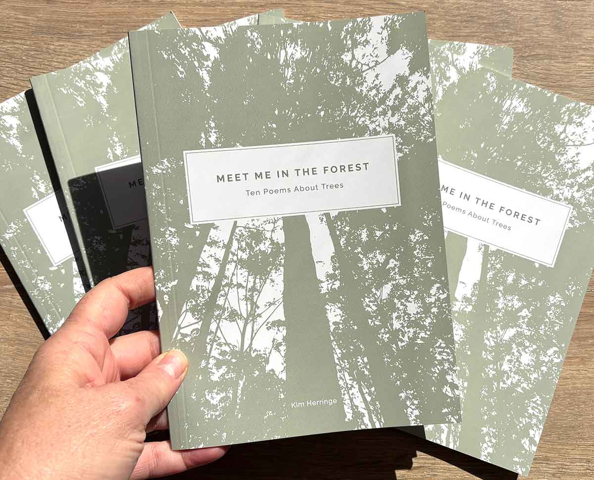 Meet Me in the Forest - Ten Poems About Trees by Kim Herringe