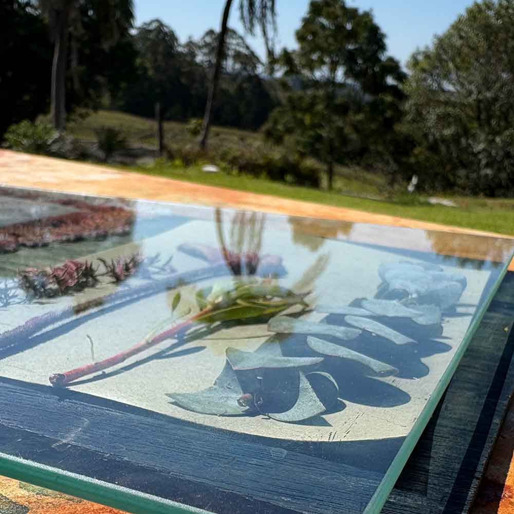 Cyanotype Private Group workshop September 26