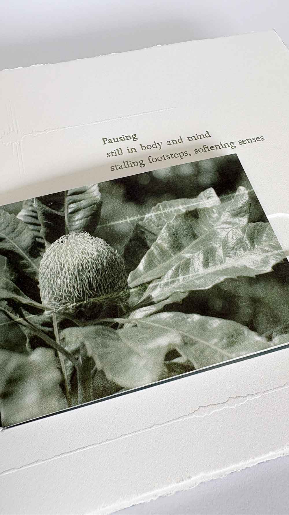 Time spent amongst trees is never wasted time - artist book