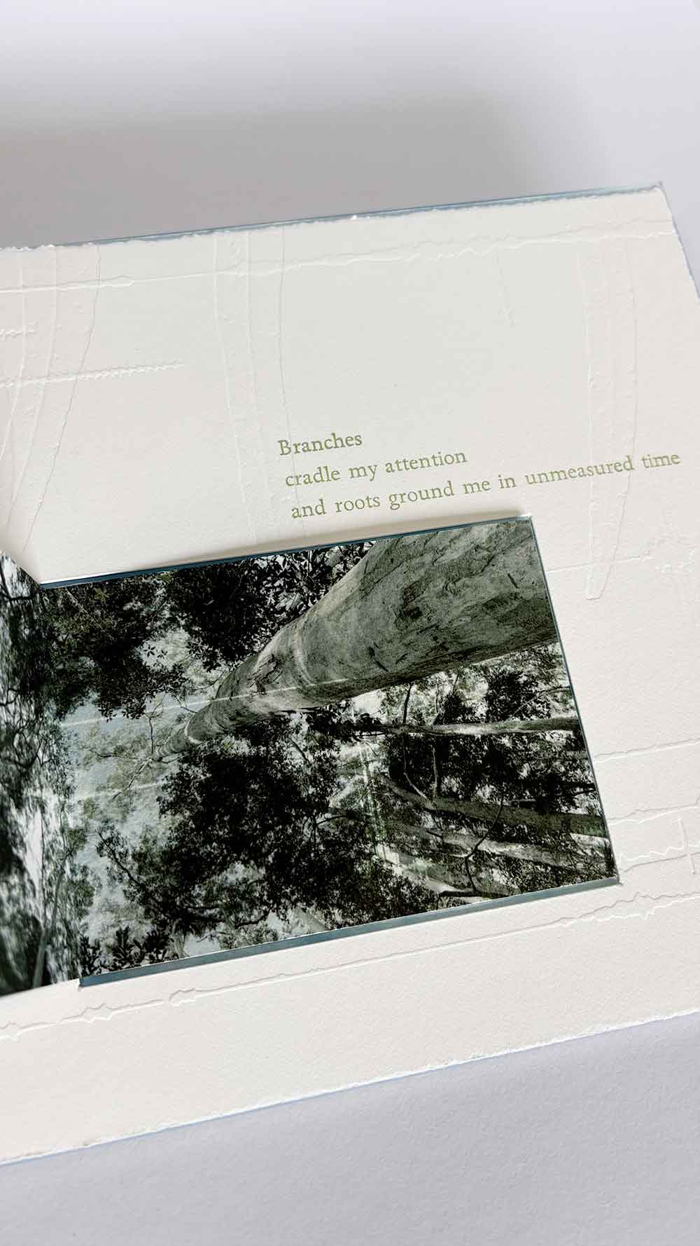 Time spent amongst trees is never wasted time - artist book
